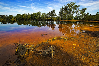 „Der Rote See“